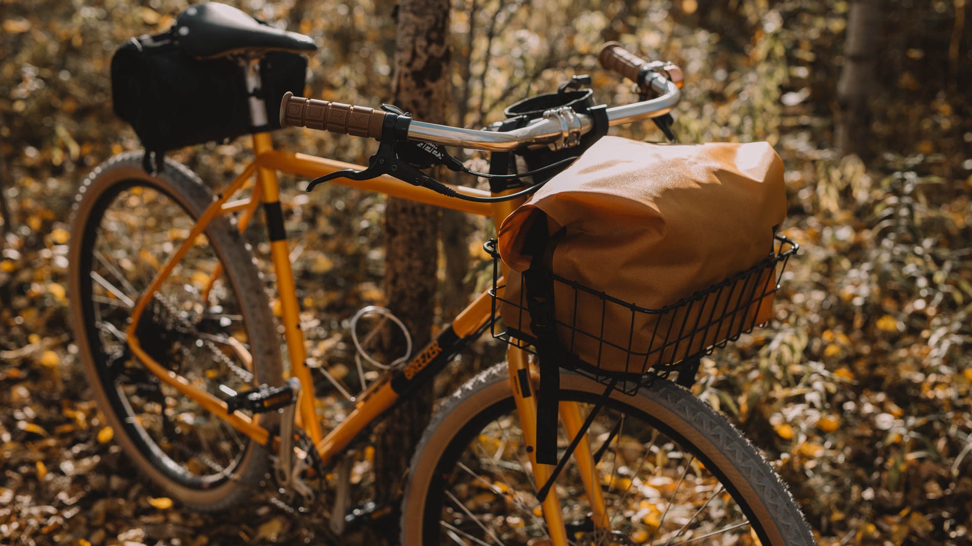 A Beautiful Color-Matched Doppler