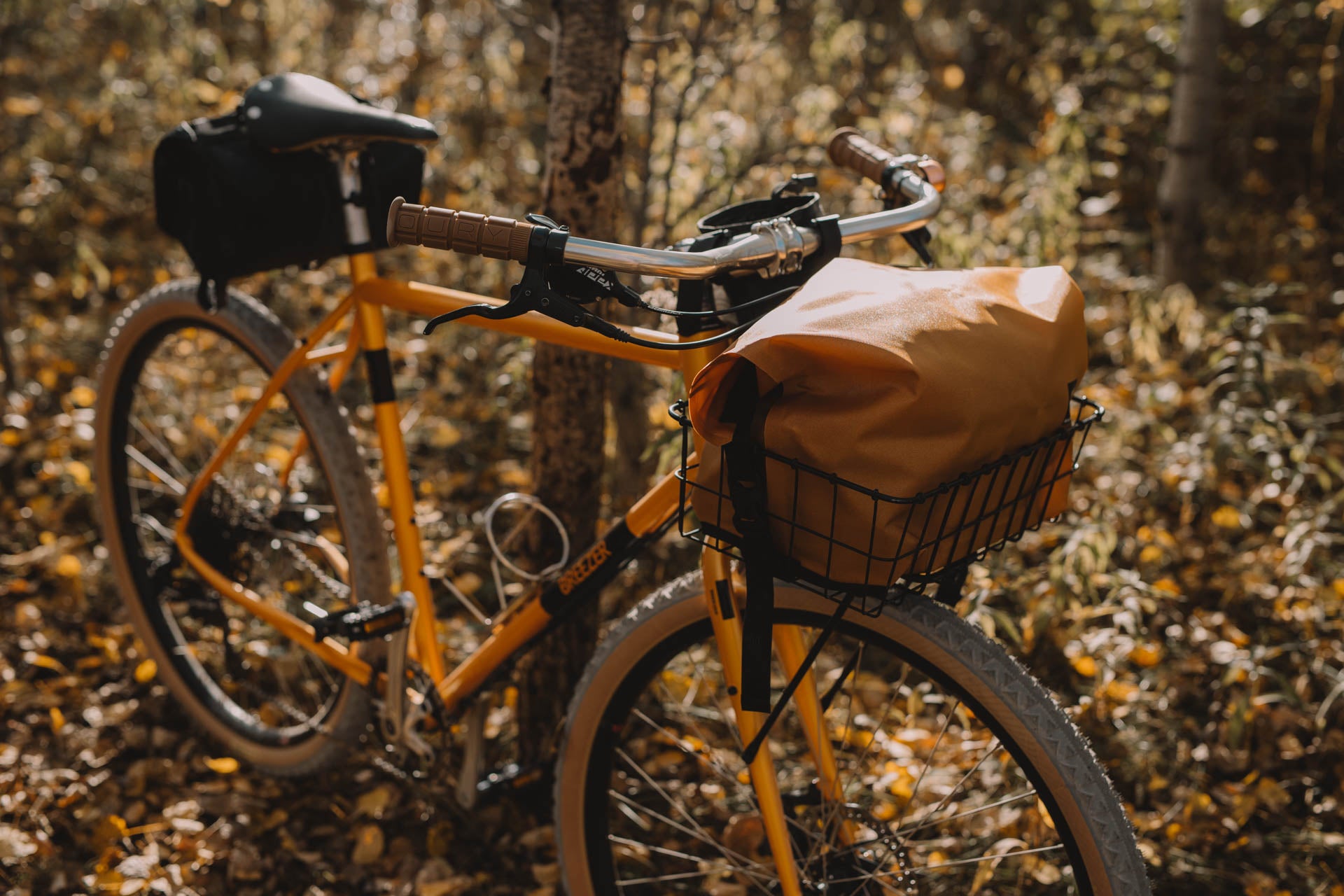 A Beautiful Color-Matched Doppler