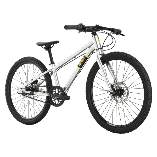 Beltway 24 Breezer Bikes Powered by BikeCo LLC